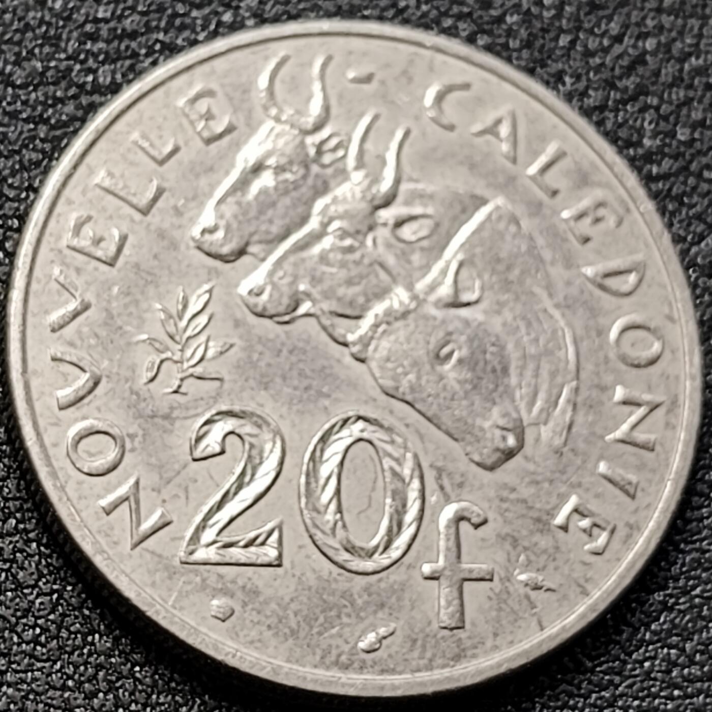 泉币菌-第152场-精品福利场 。