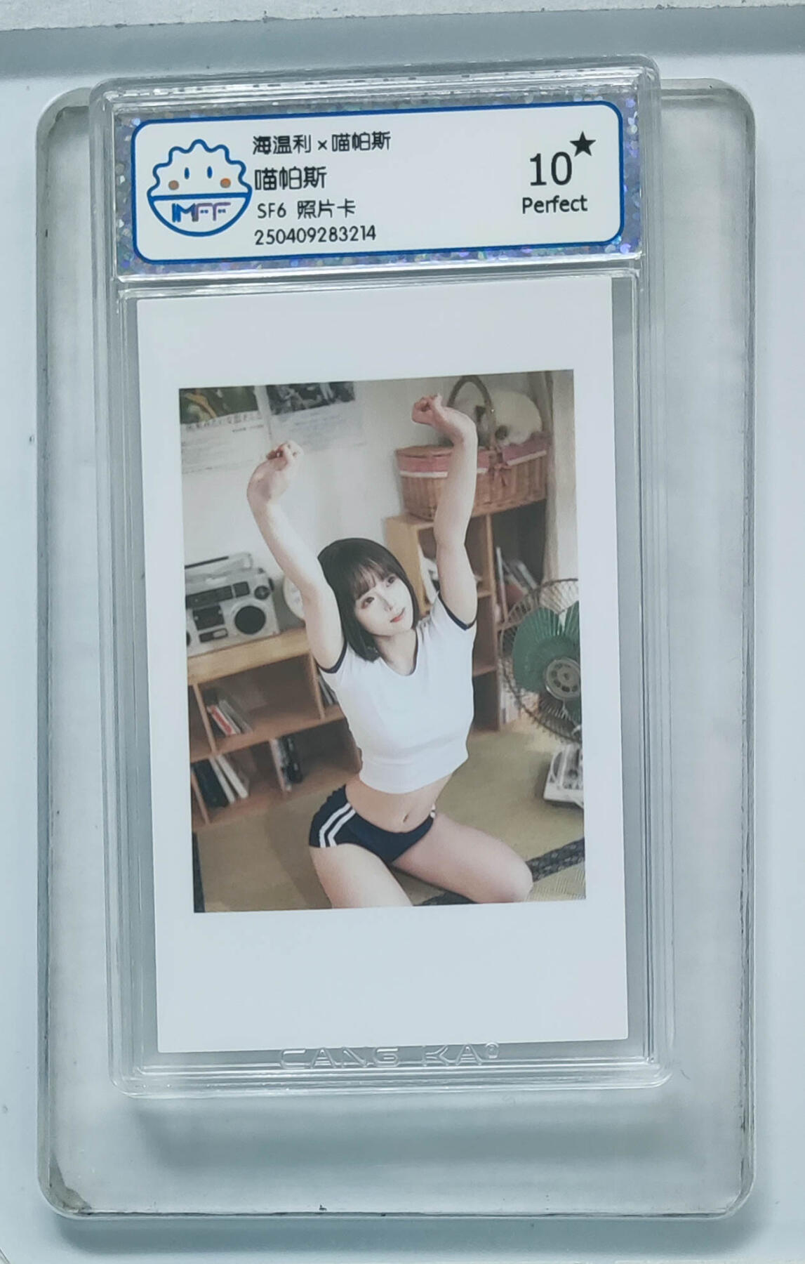 卡牌实验室开始第八次实验 喵帕斯