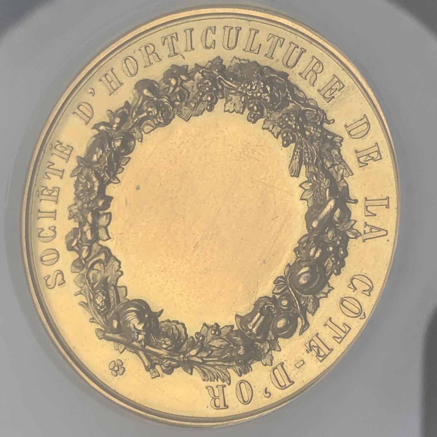 掌中浮雕-藏着的欧洲第047场 NGC MS62 :  法国科多尔园艺协会镀金铜章，51mm