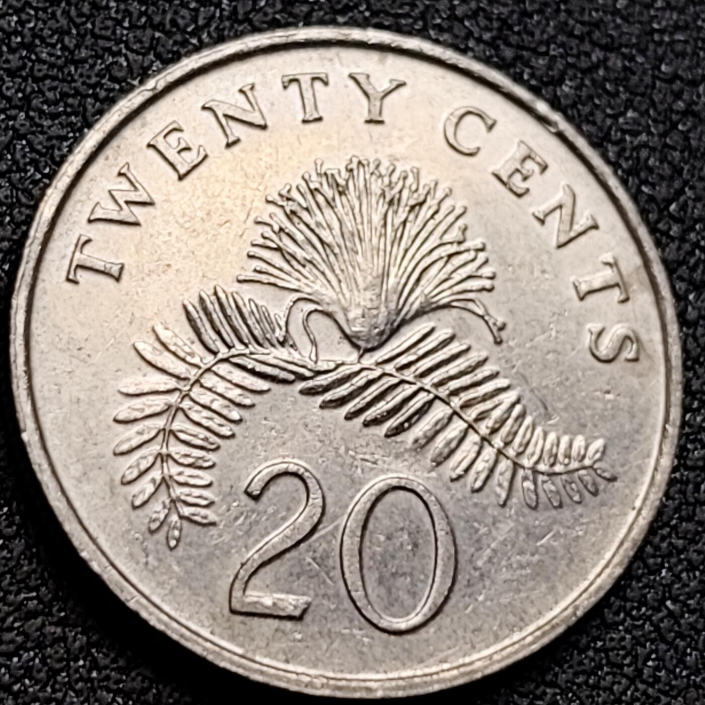 泉币菌-第152场-精品福利场 。