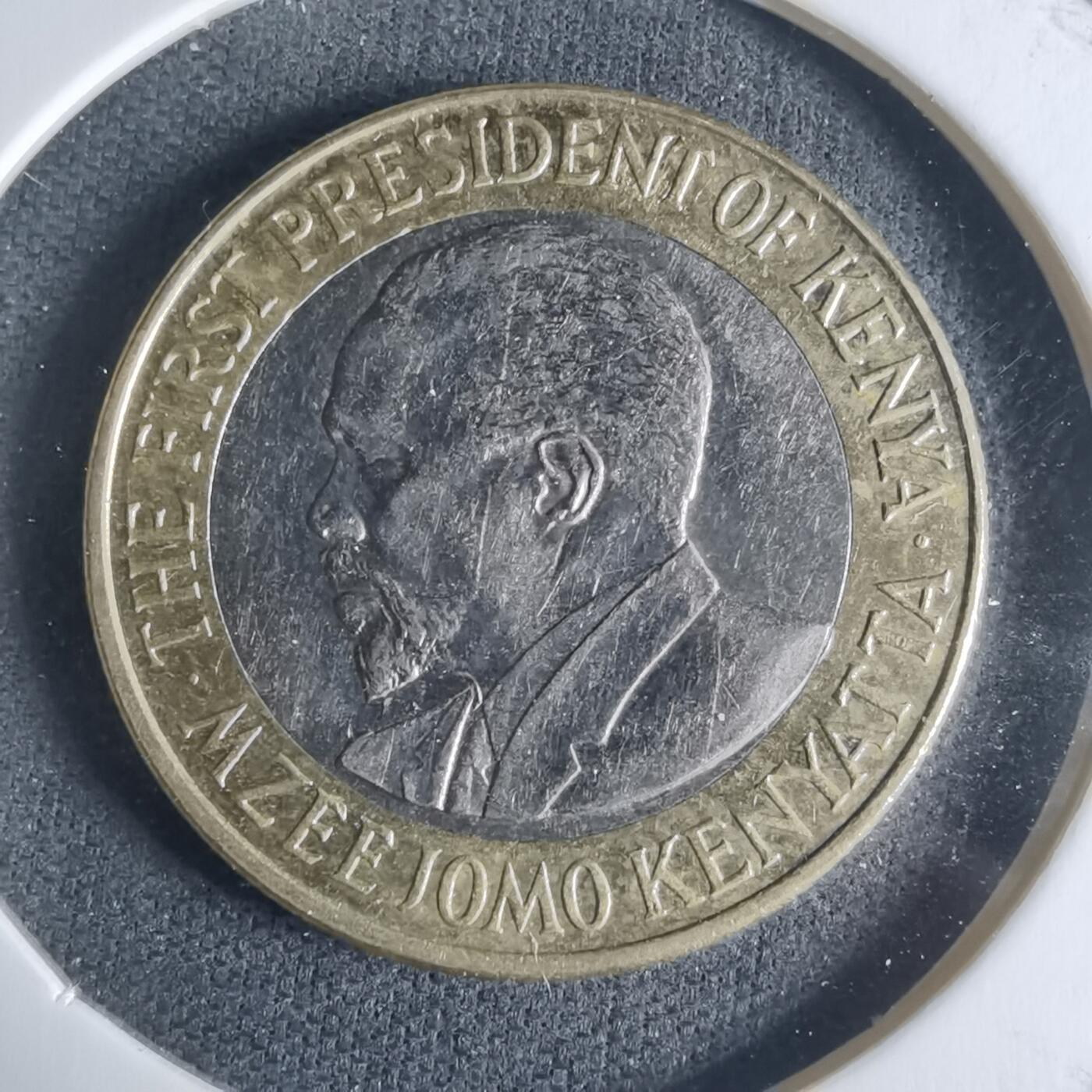 沼泽如烟--第942场