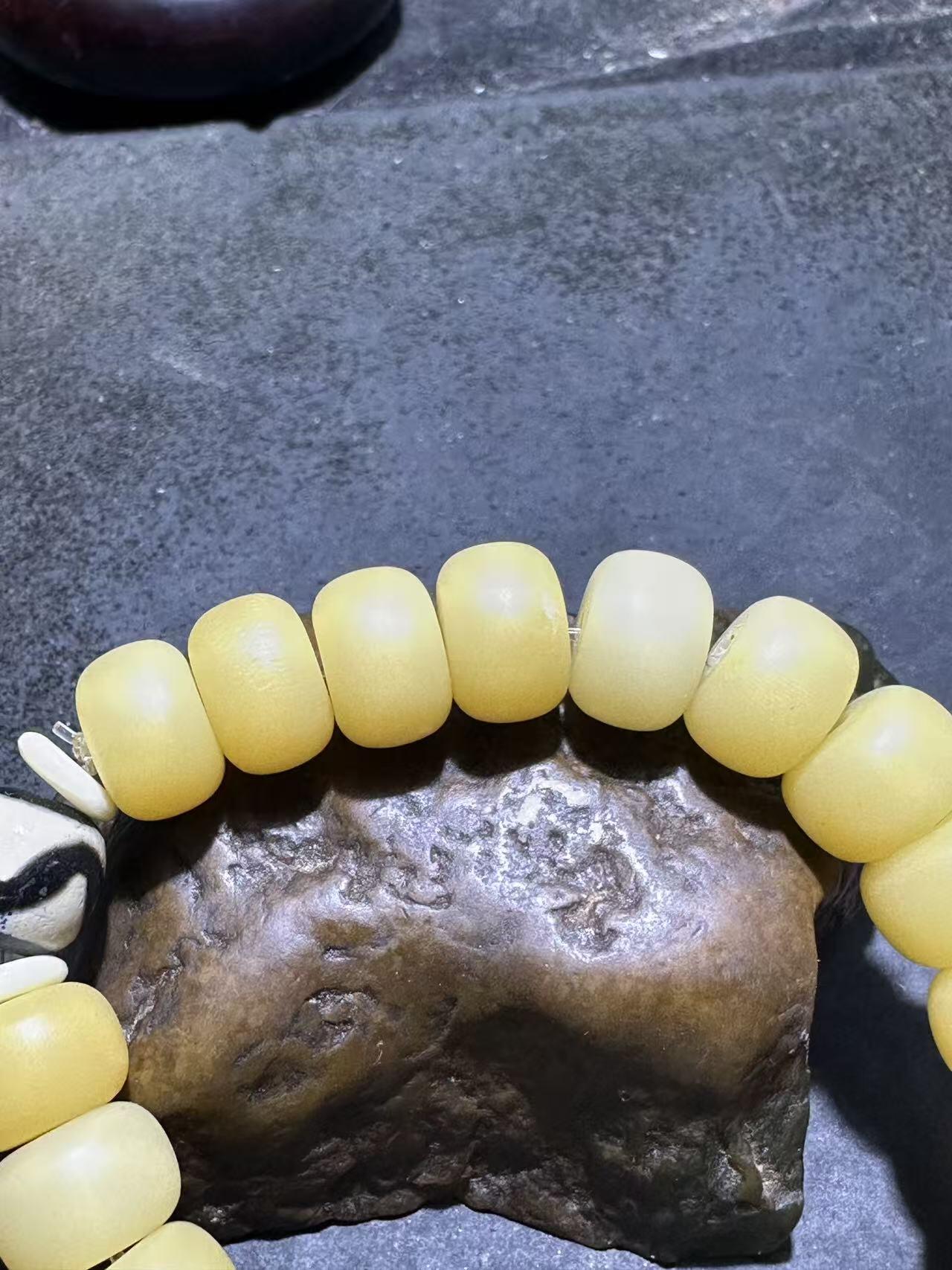 仅此一条，氧化菩提根虎牙天珠单圈手串一条