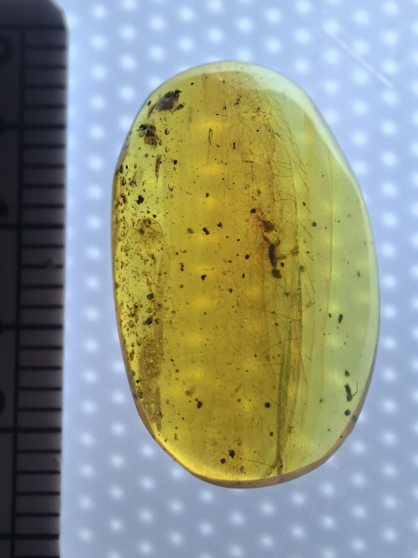 缅甸虫珀 宝石 化石专场