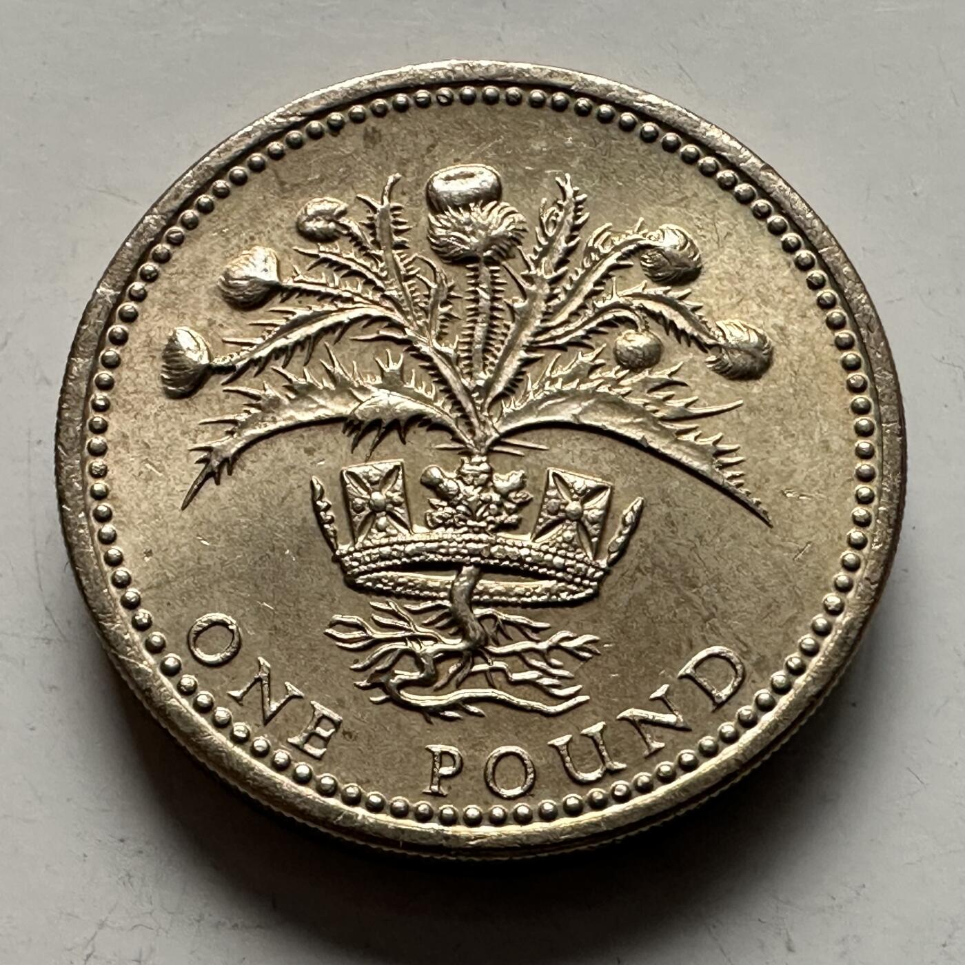 🌹外币初藏🌹🐯2025年第144场  每周二四六晚8️⃣点 接代拍 英国1984年一英镑 原光品