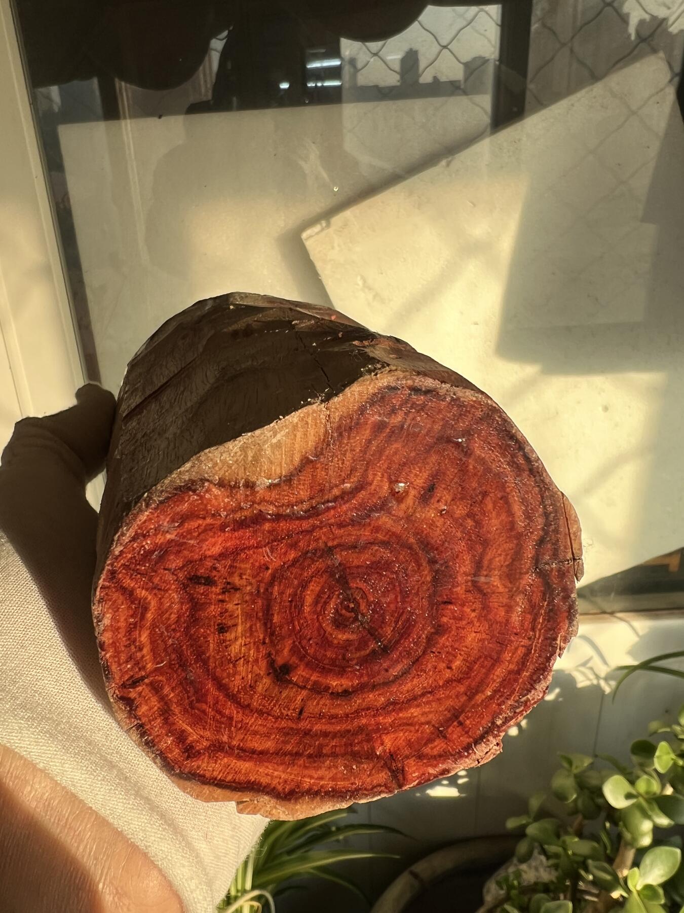 零元拍：  海南黄花梨原料。130/90/80MM