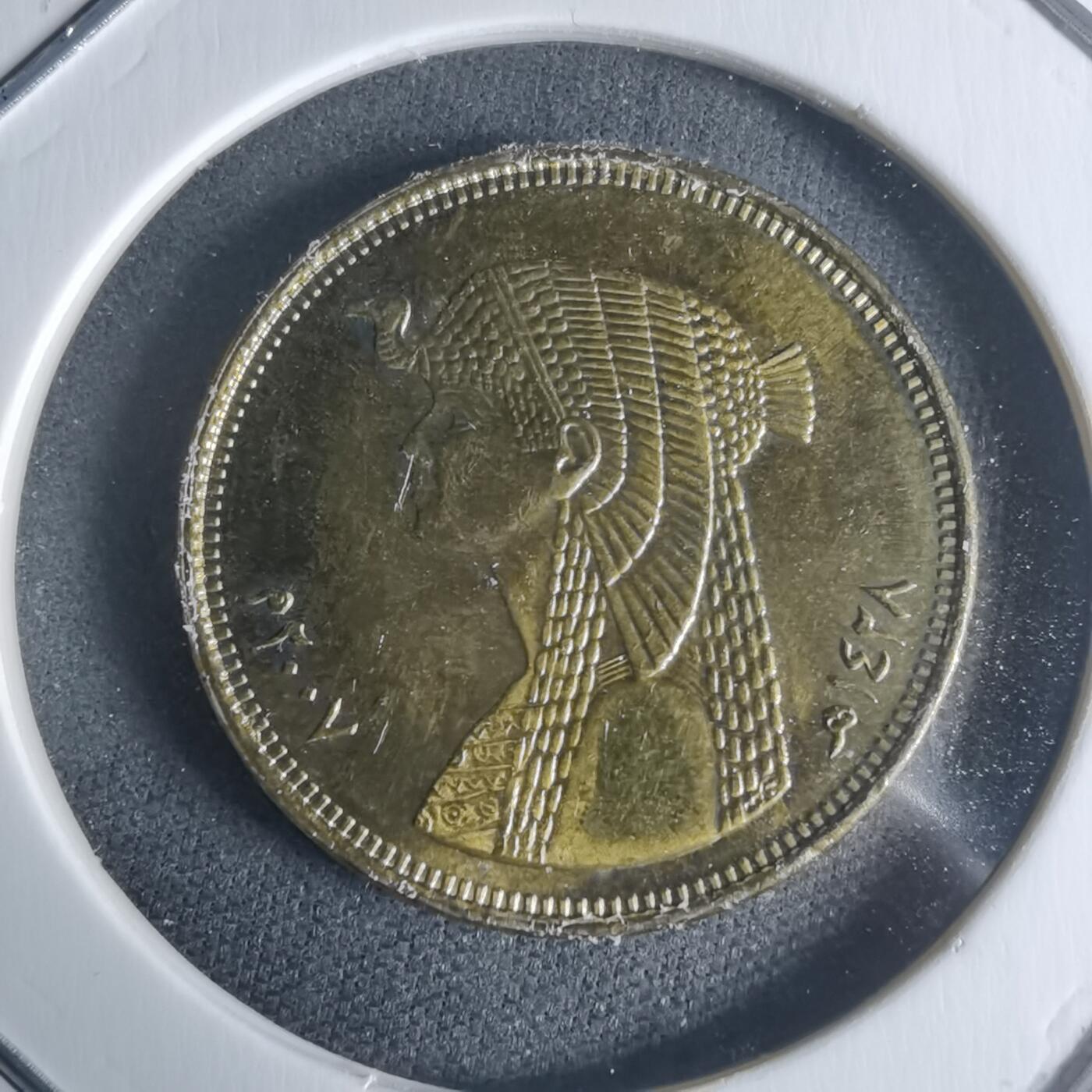 沼泽如烟--第942场 埃及