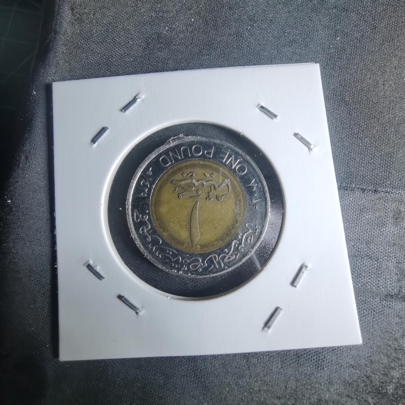 沼泽如烟--第942场