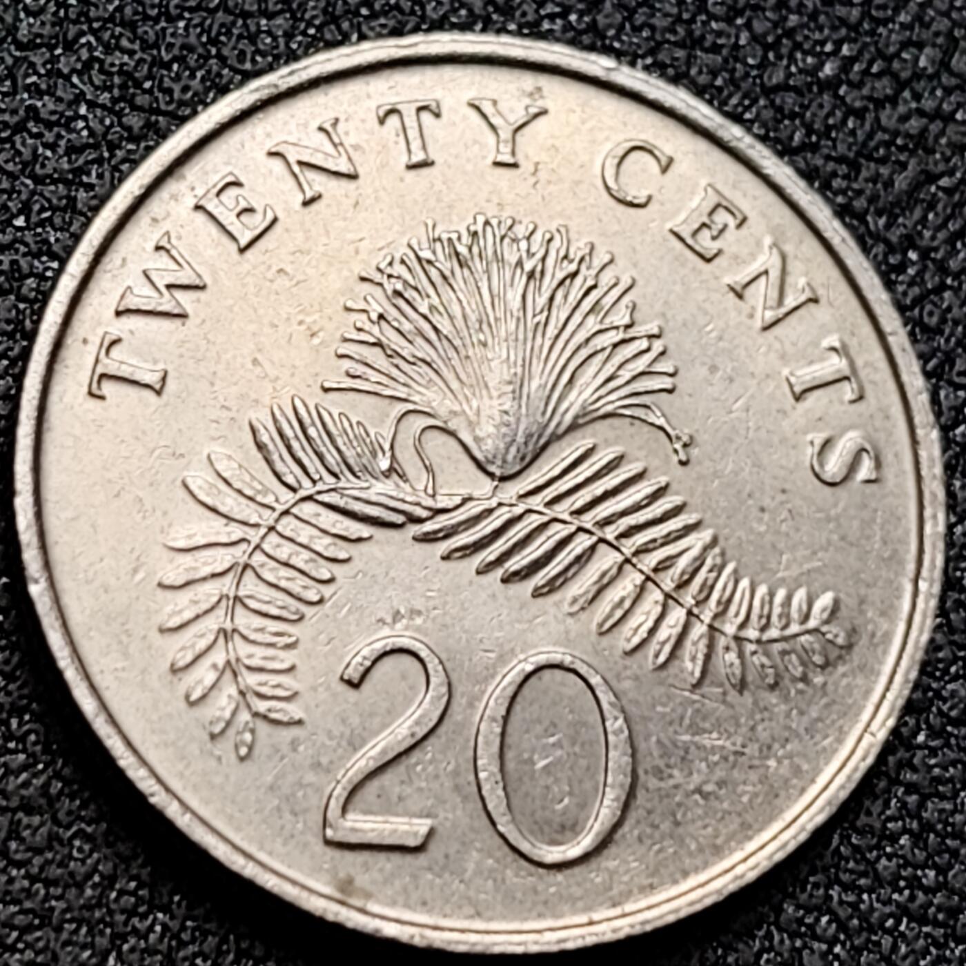 泉币菌-第152场-精品福利场 。