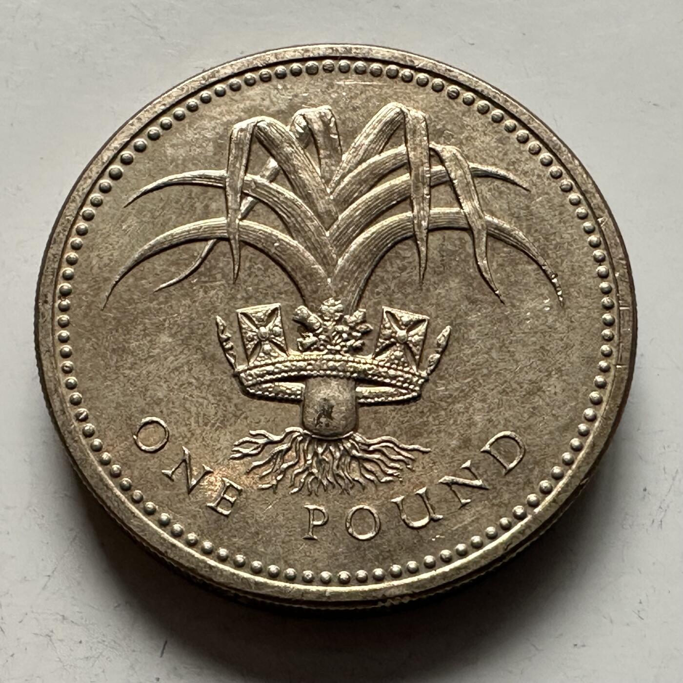 🌹外币初藏🌹🐯2025年第144场  每周二四六晚8️⃣点 接代拍 英国1985年一英镑