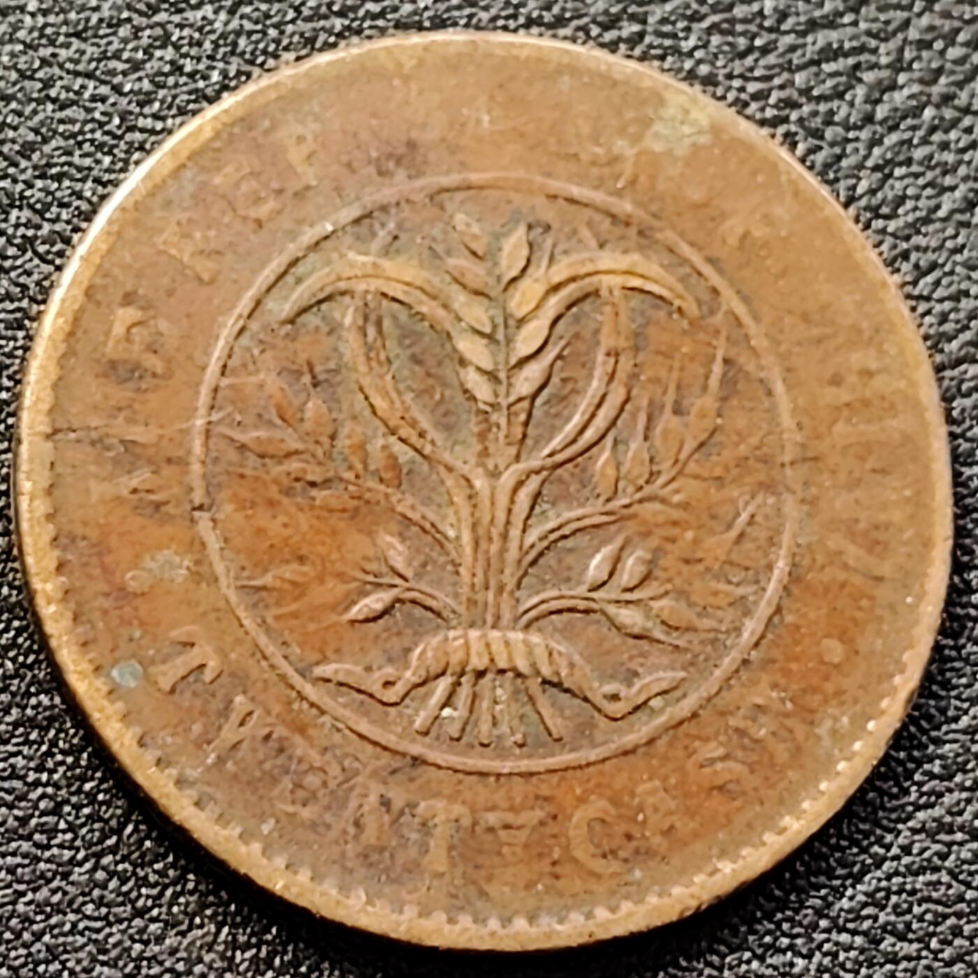 泉币菌-第152场-精品福利场 。