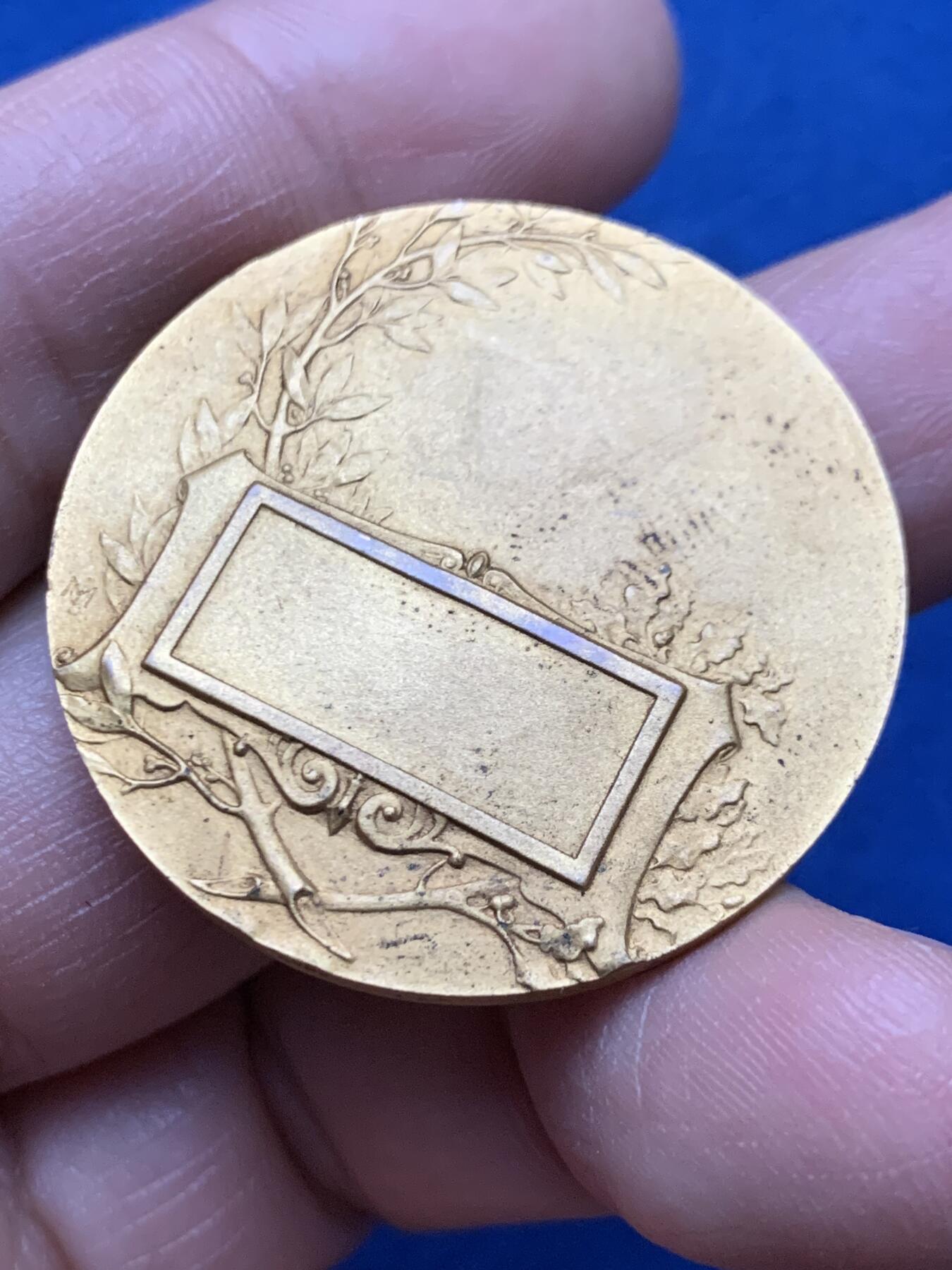 《竞宝斋》第450场 周日，周一，周二  3场连拍 （全场包邮，欢迎送拍） 法国游泳比赛镀金铜章 19.8克 35.6mm 背面无刻字 三角铜标