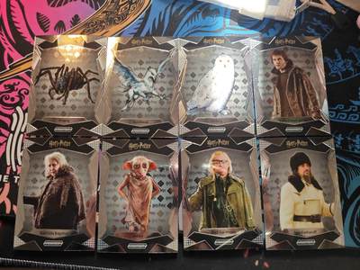 卡牌实验室开始第八次实验 - 【银折】卡卡沃哈利波特×8