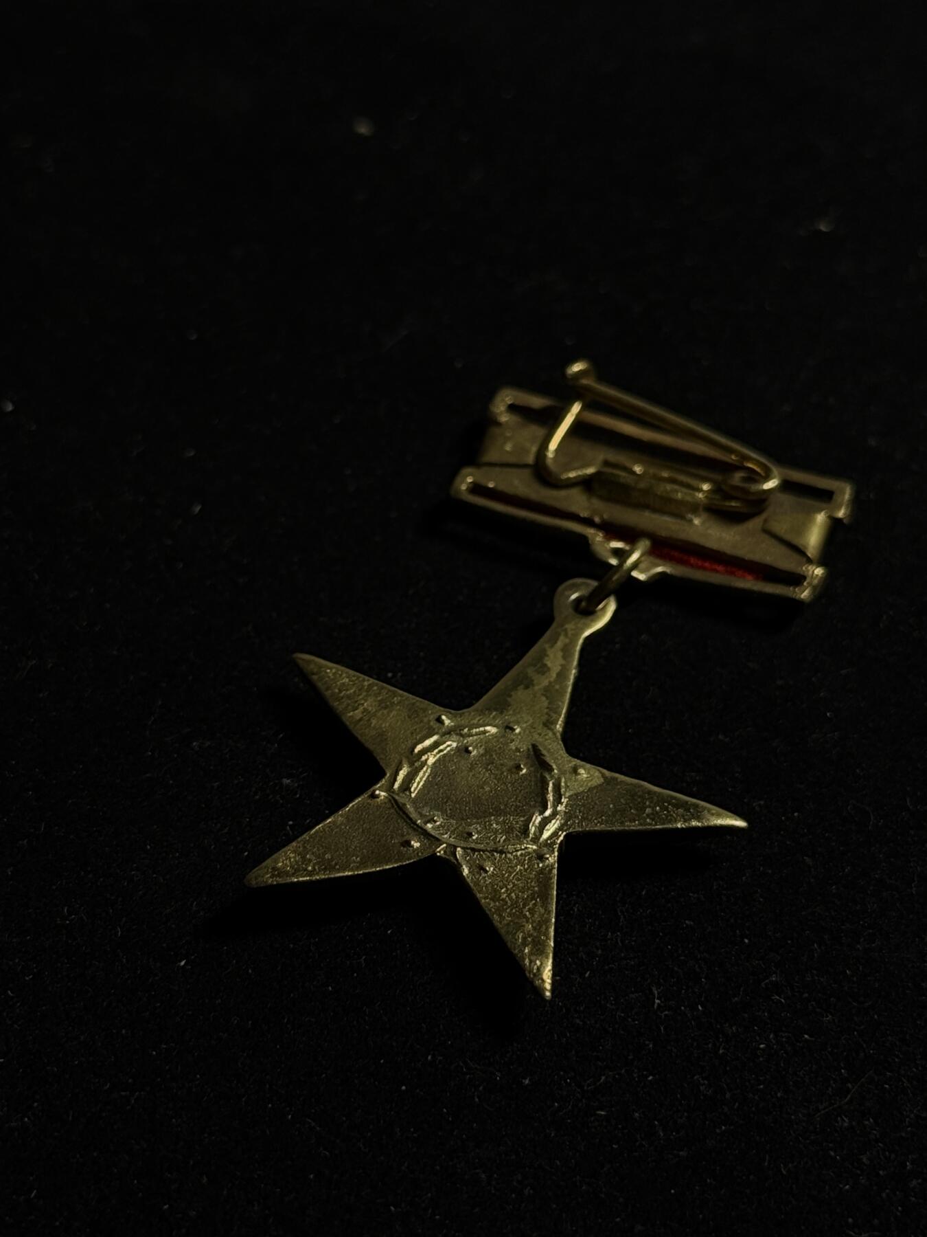 欢庆元旦！戎马世界章牌大赏第109期元旦大拍 越南人民英雄勋章，铜制，T2V1版，工艺比较粗糙