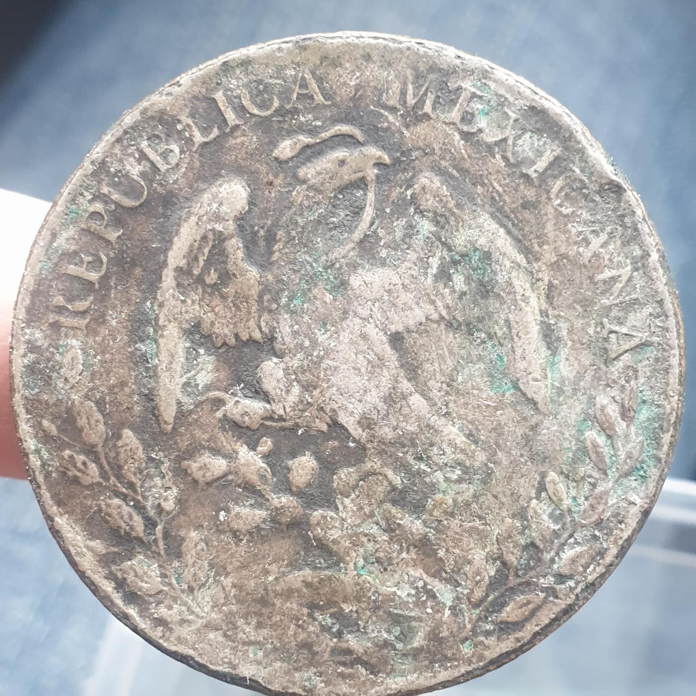 烟海杂币第11场