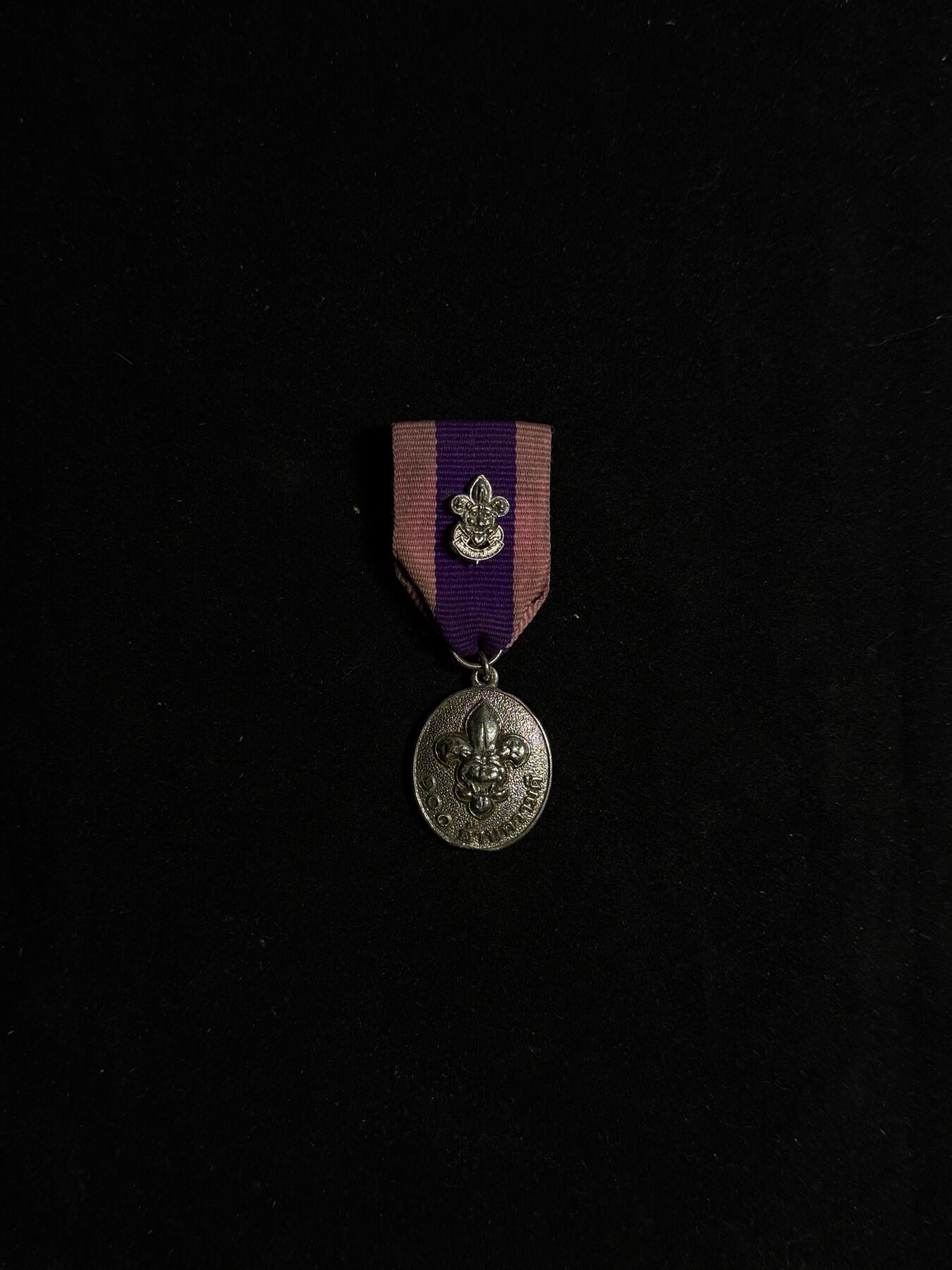 欢庆元旦！戎马世界章牌大赏第109期元旦大拍 泰国童子军运动100周年奖章