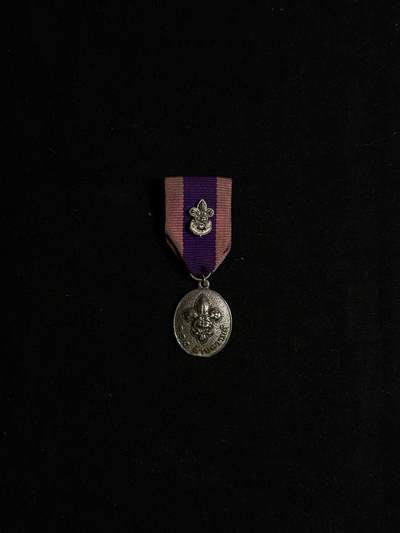 欢庆元旦！戎马世界章牌大赏第109期元旦大拍 - 泰国童子军运动100周年奖章