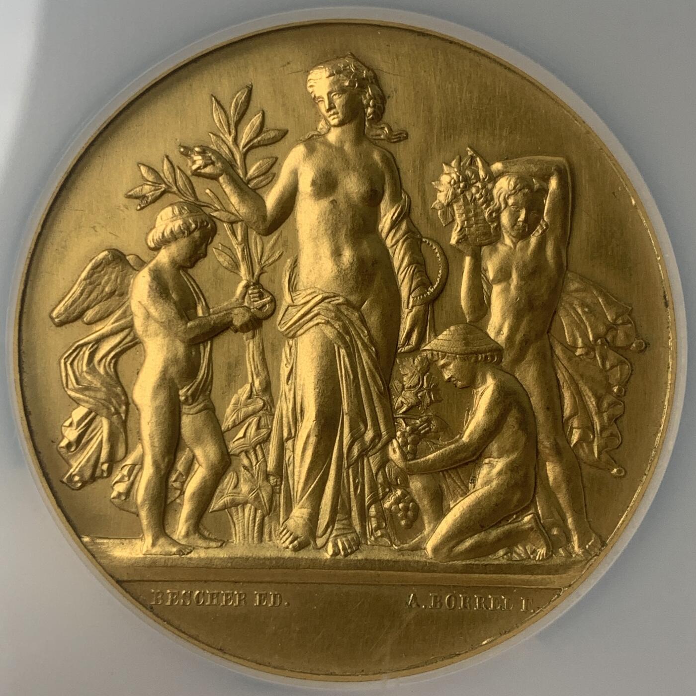 掌中浮雕-藏着的欧洲第047场 NGC MS62 :  法国科多尔园艺协会镀金铜章，51mm