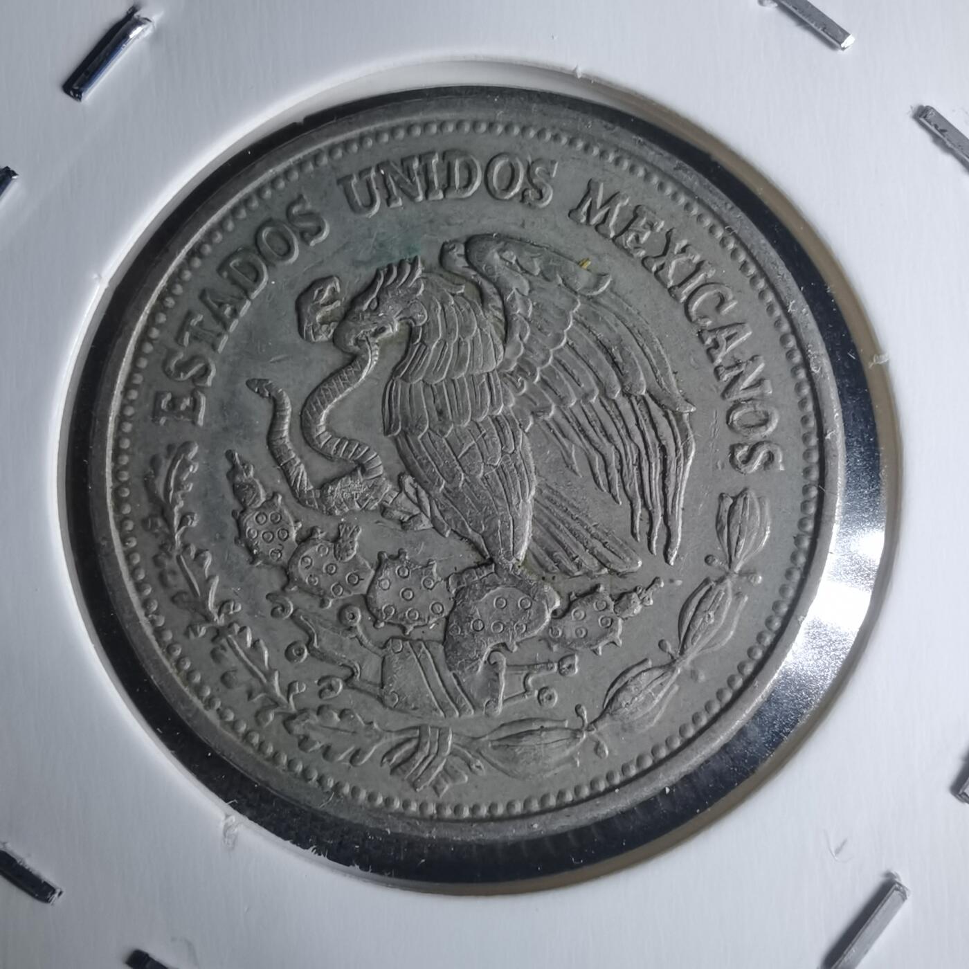 沼泽如烟--第942场