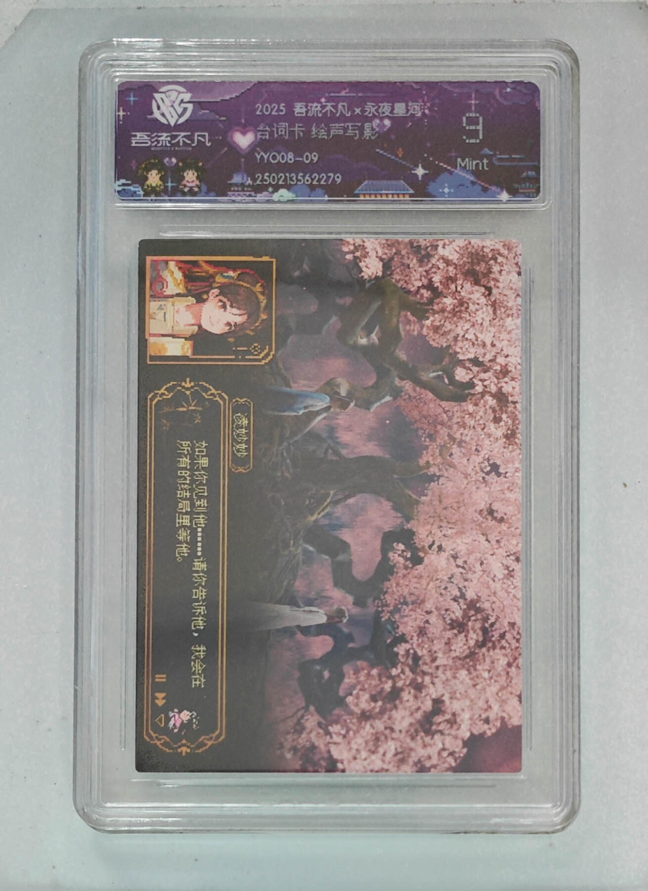 卡牌实验室吾流不凡专场