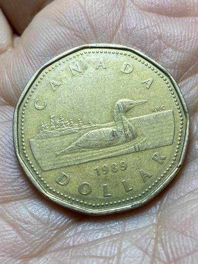 2025年第一百四十五场(总第一百七十一场）高品质英国一线回流散币年末特拍场第二场(免佣金) - 加拿大🇨🇦1989年1元(伊丽莎白二世中年花冠，浅浮雕版)