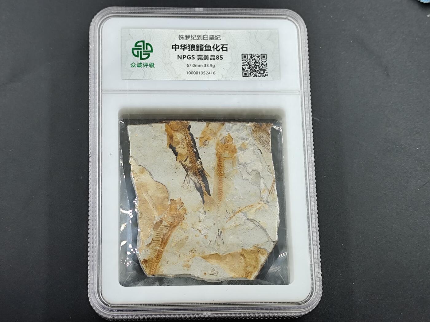 12月20日徽章钱币专场