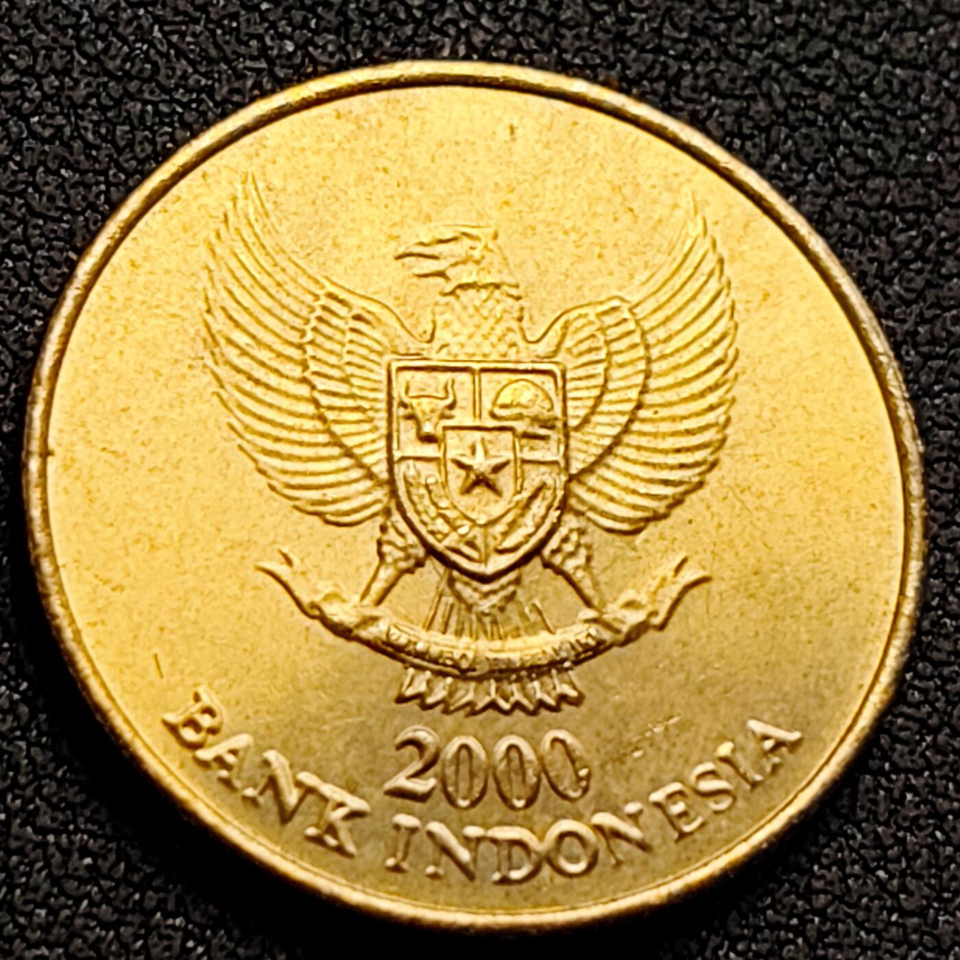 泉币菌-第152场-精品福利场 。