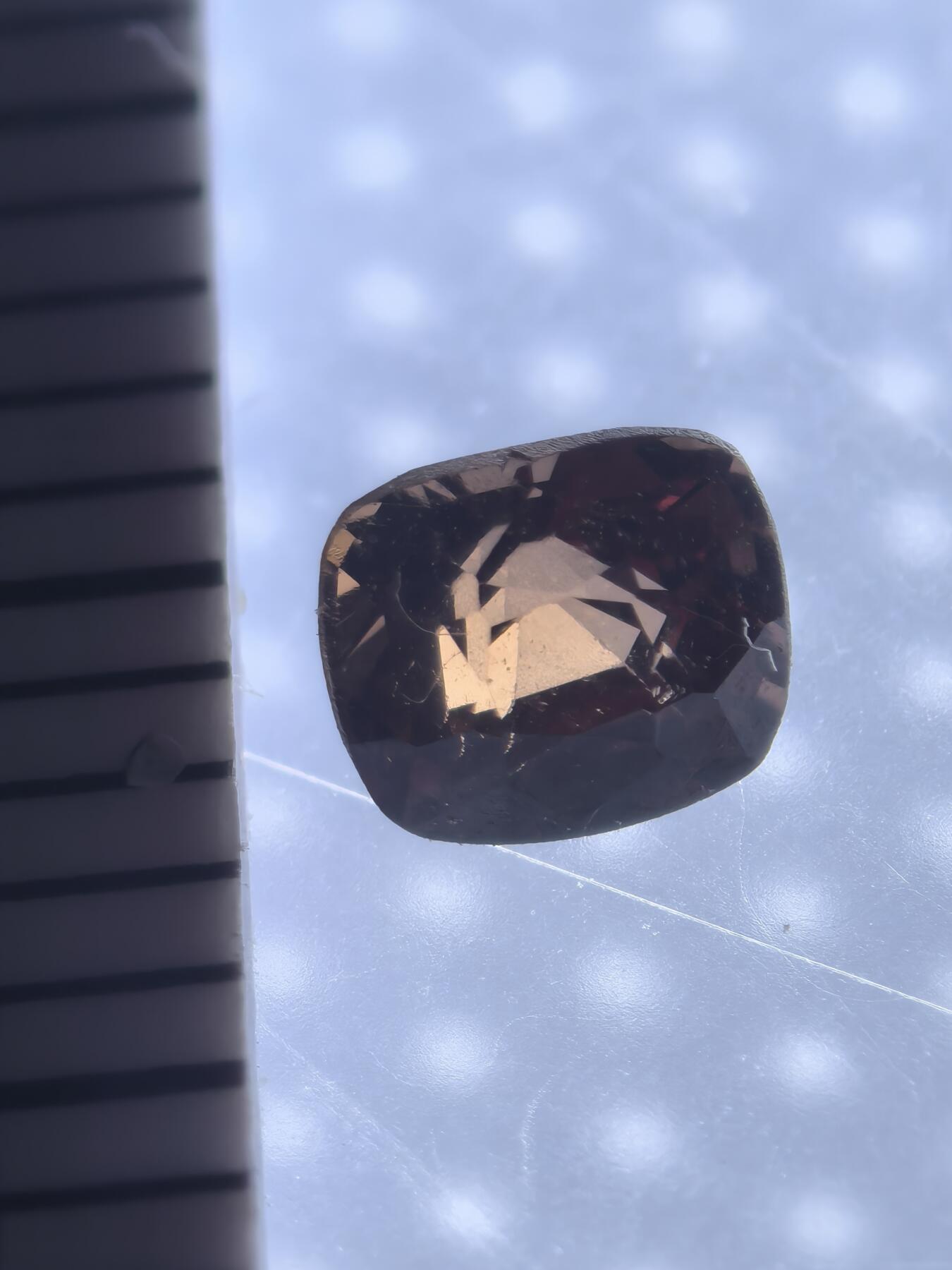 缅甸虫珀 宝石 化石专场