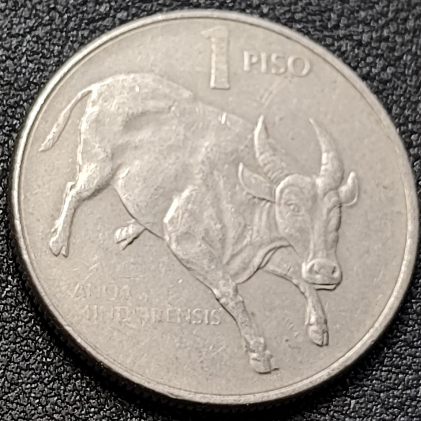 泉币菌-第152场-精品福利场 。