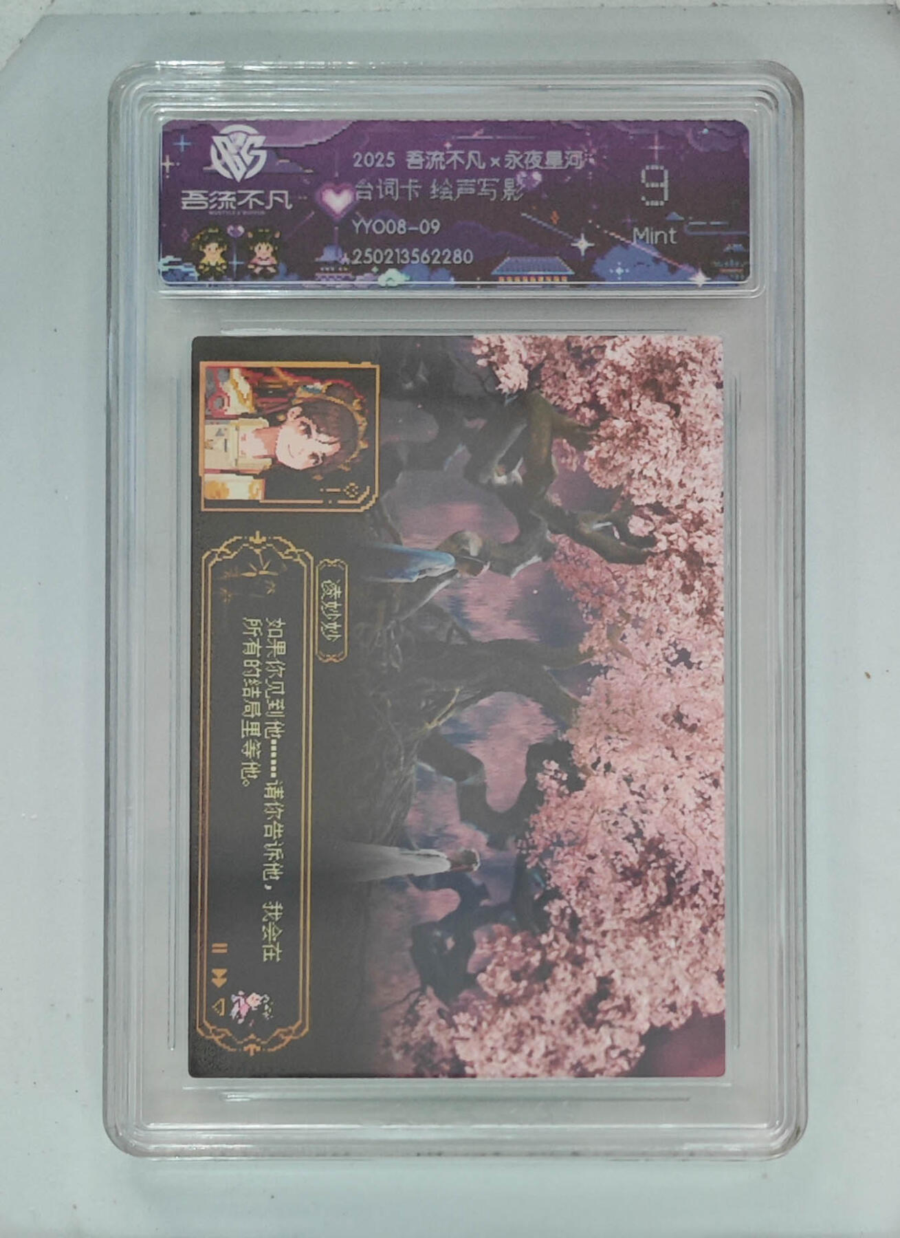 卡牌实验室吾流不凡专场