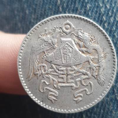 烟海杂币第11场 - 龙凤贰角银币（银质仿品）