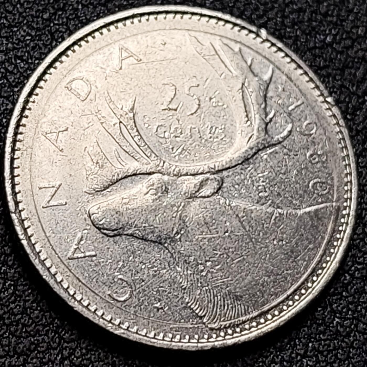 泉币菌-第152场-精品福利场 。