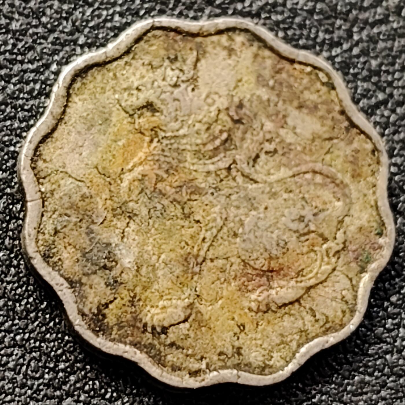 泉币菌-第152场-精品福利场 。