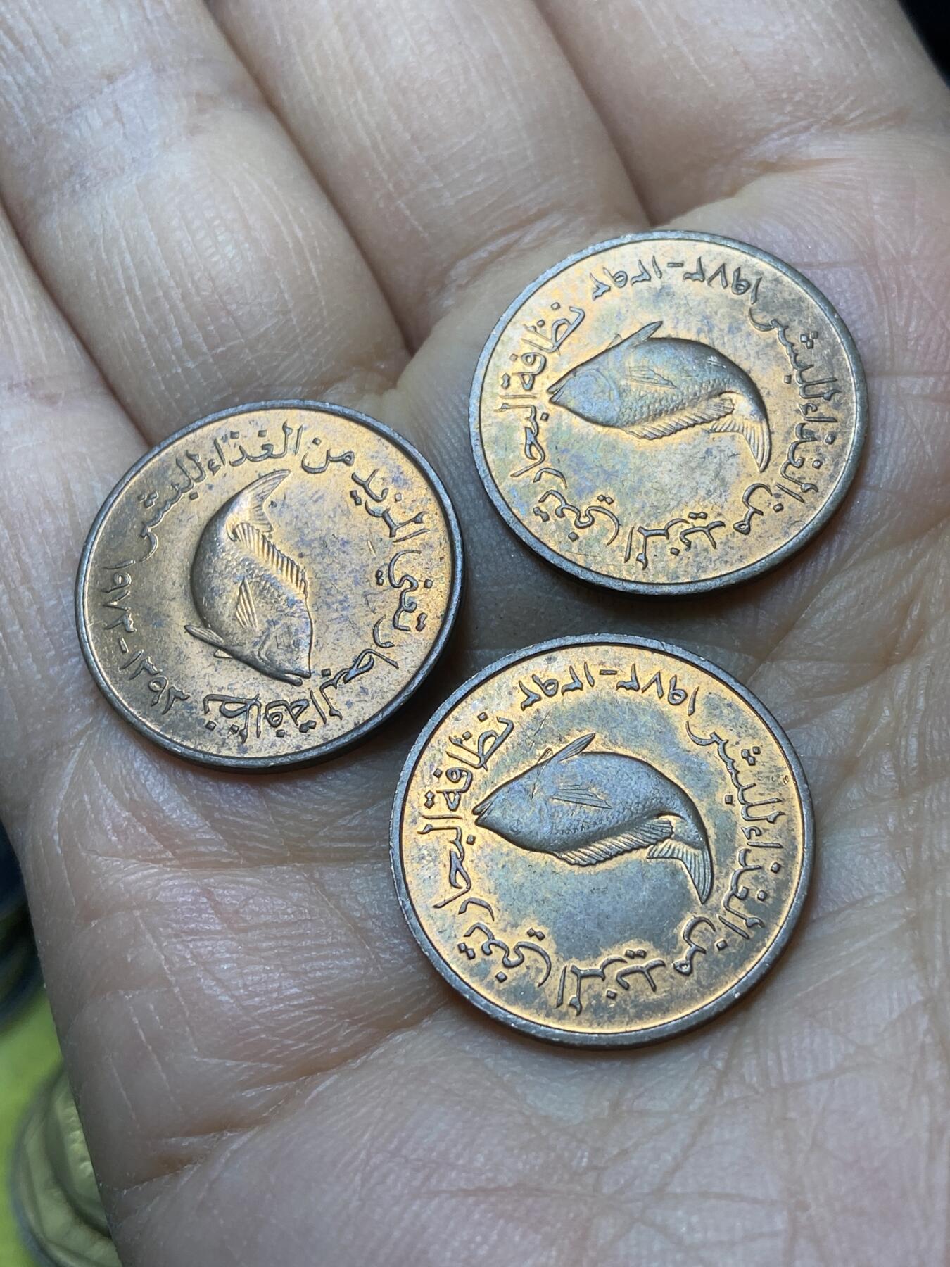 2025年第一百四十五场(总第一百七十一场）高品质英国一线回流散币年末特拍场第二场(免佣金) 原光好品–阿联酋🇦🇪1973年5费尔3枚