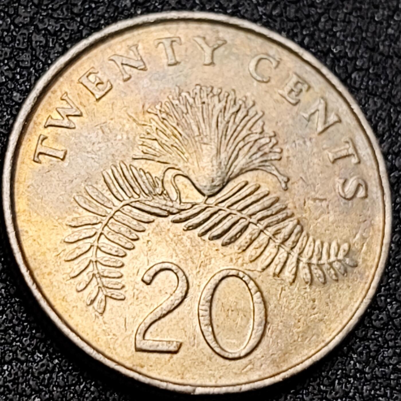 泉币菌-第152场-精品福利场 。