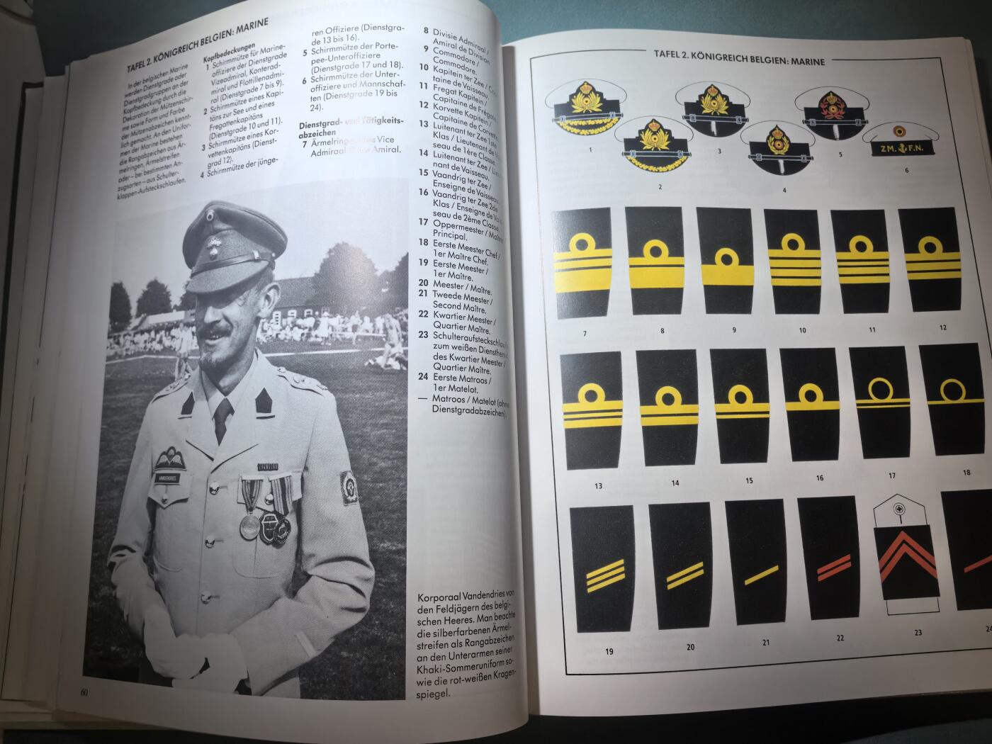 盛世勋华——号角文化勋章邮票专场拍卖第295期 北约各国军队制服徽章 大量手绘图示 极好的工具书 210页