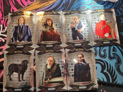 卡牌实验室开始第八次实验 - 【银折】卡卡沃哈利波特×7