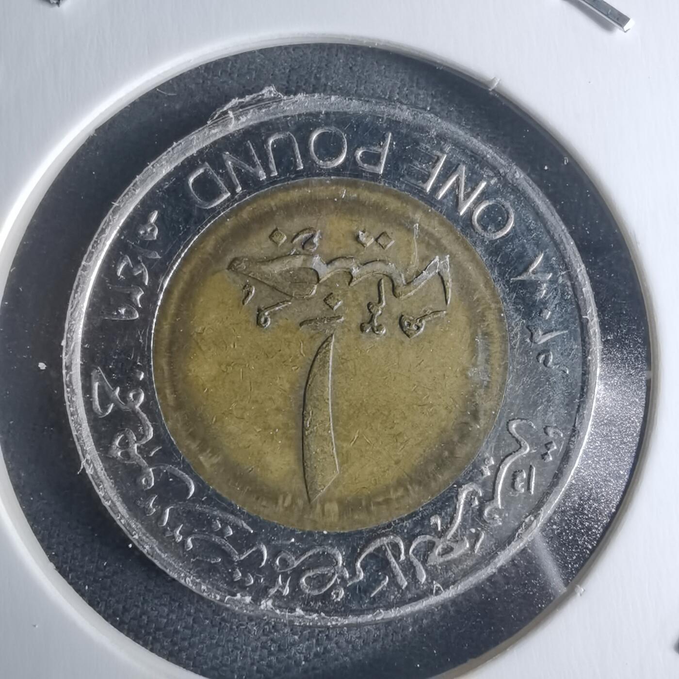 沼泽如烟--第942场