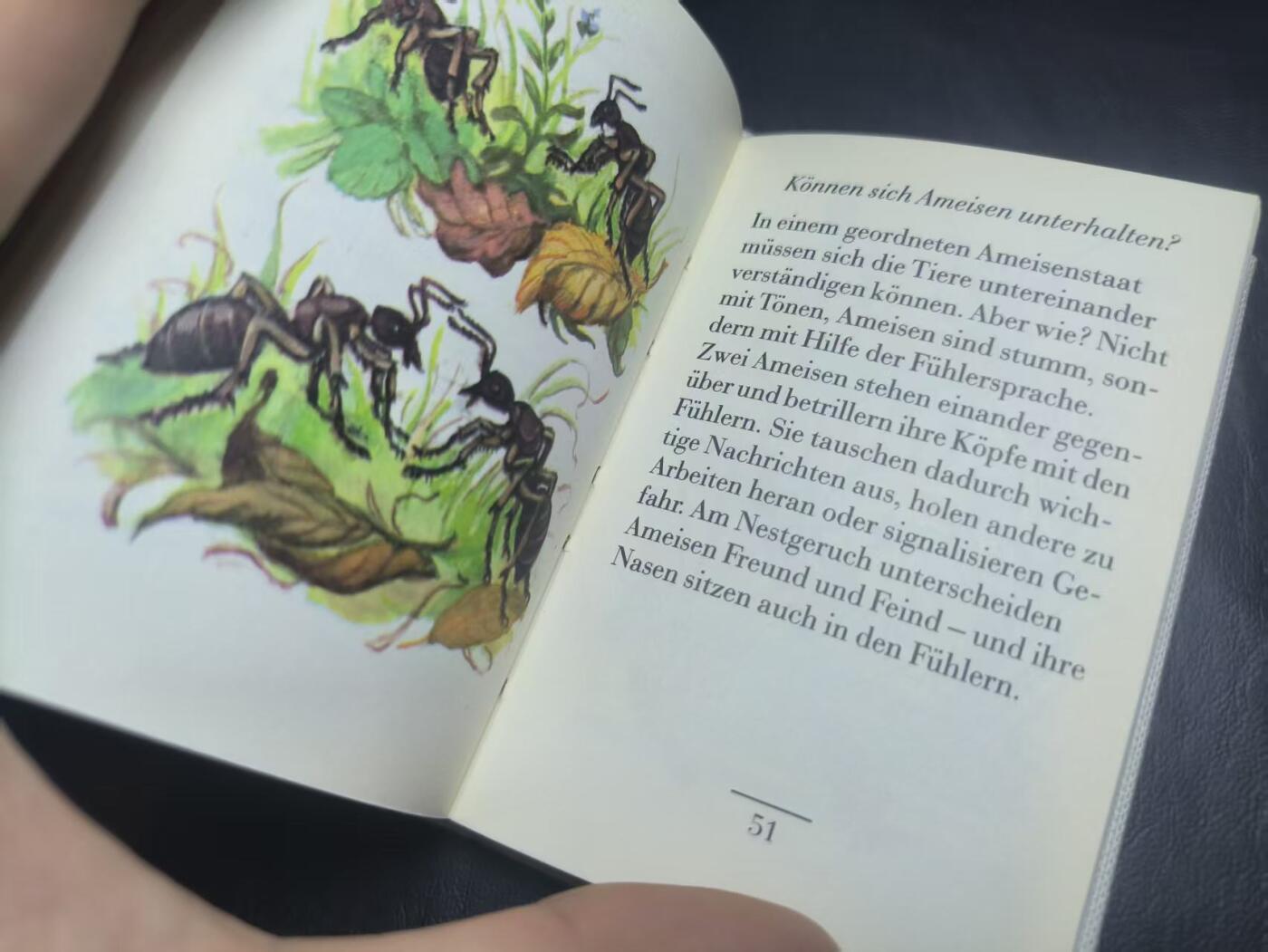 罗岚⭐爱藏⭐甄选专拍第二场-分享拍场赚佣（实体店在建中···） 民主德国《口袋里的草地》--青年世界出版社