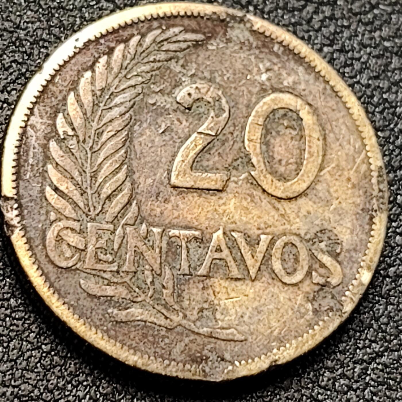 泉币菌-第152场-精品福利场 。