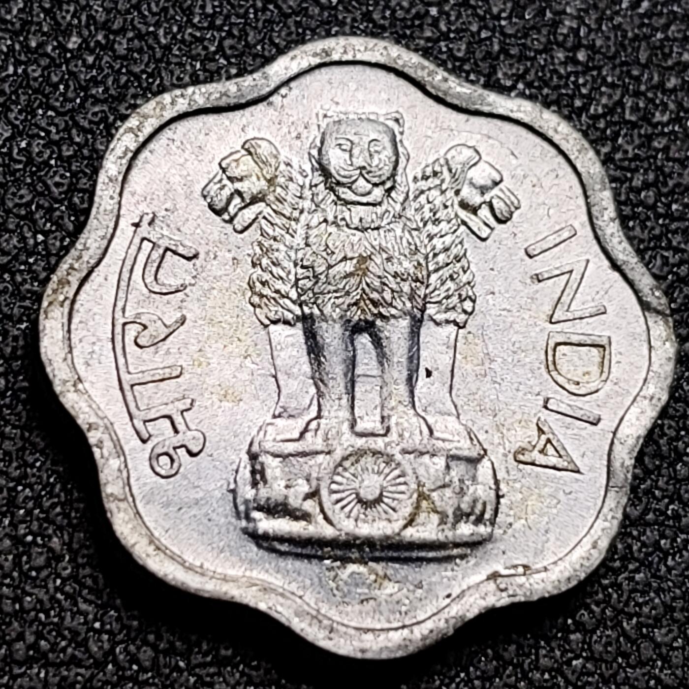 泉币菌-第154场-圣诞节专场 。