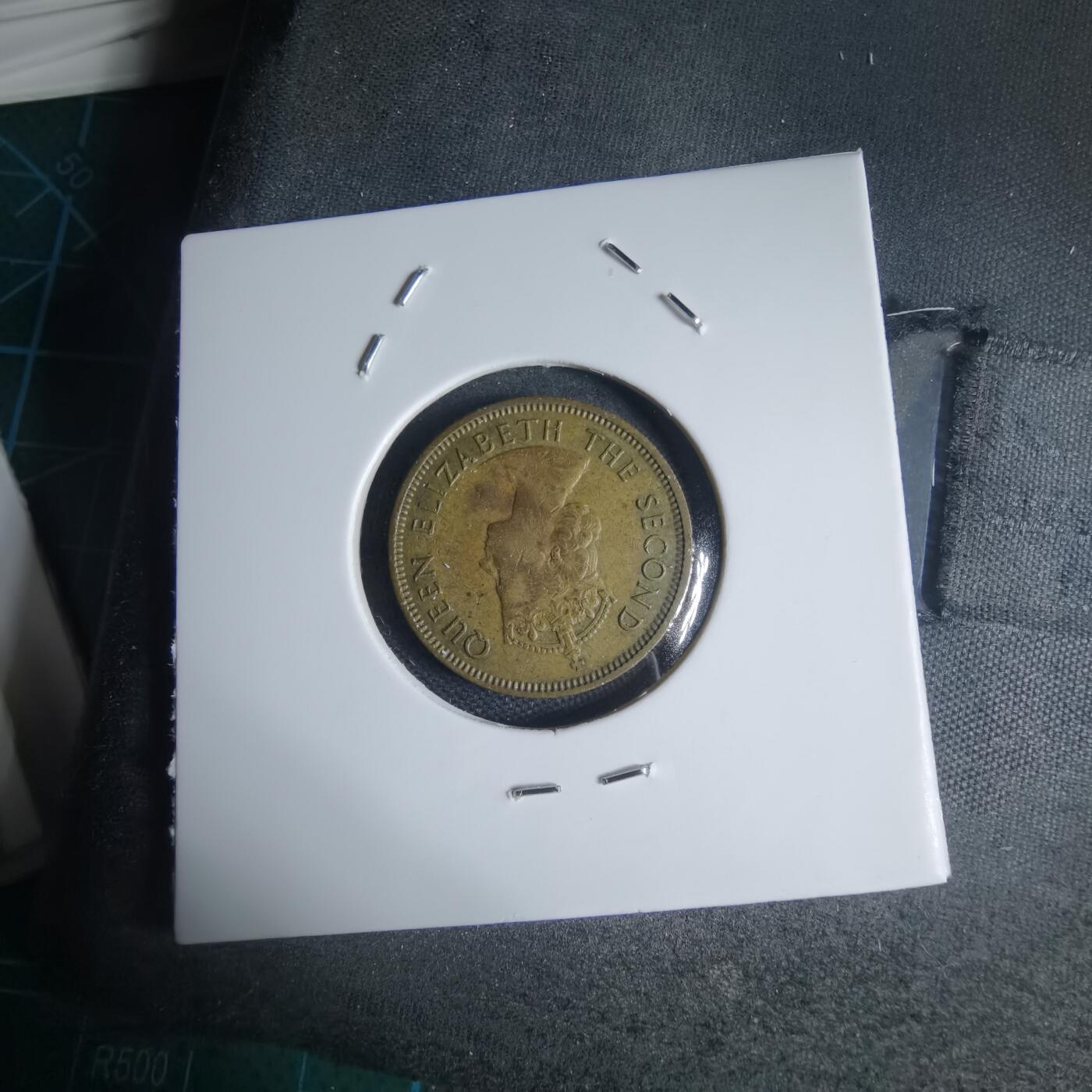 沼泽如烟--第944场