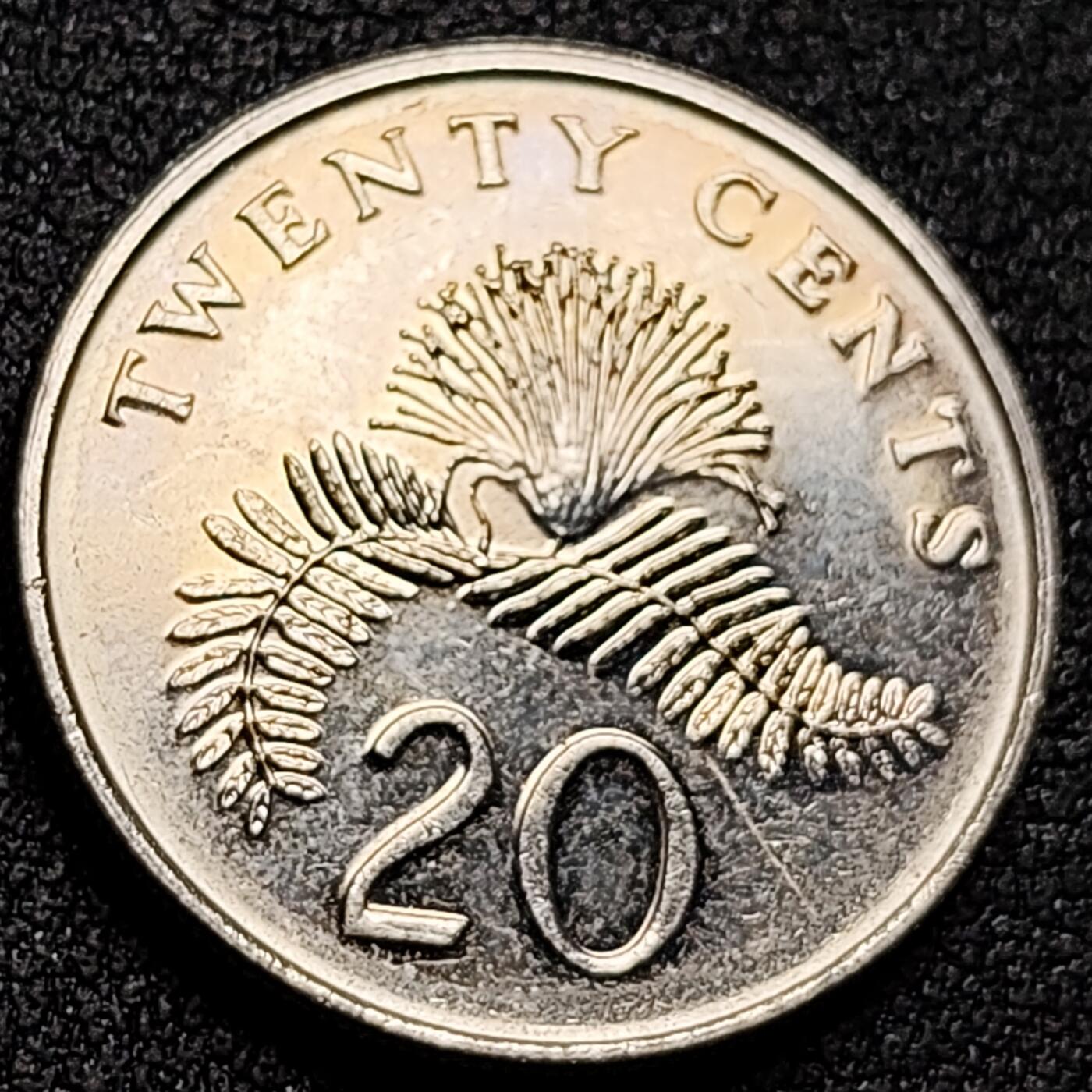 泉币菌-第153场-平安夜专场 。