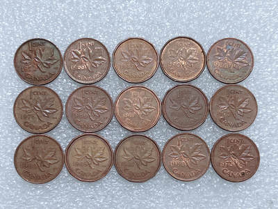 第一海外回流一元起拍收藏 散集专场  第281期 - 加拿大枫叶1分硬币 15枚