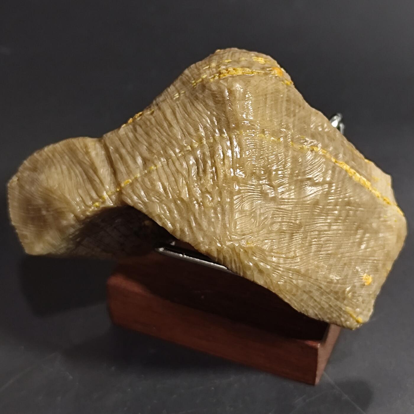 希腊罗马丝路打制币化石【中外钱币放漏】专场！陆小鱼的钱币仓，限时拍卖第080场 4.5亿年前奥陶纪时期海洋古生物化石标本136g