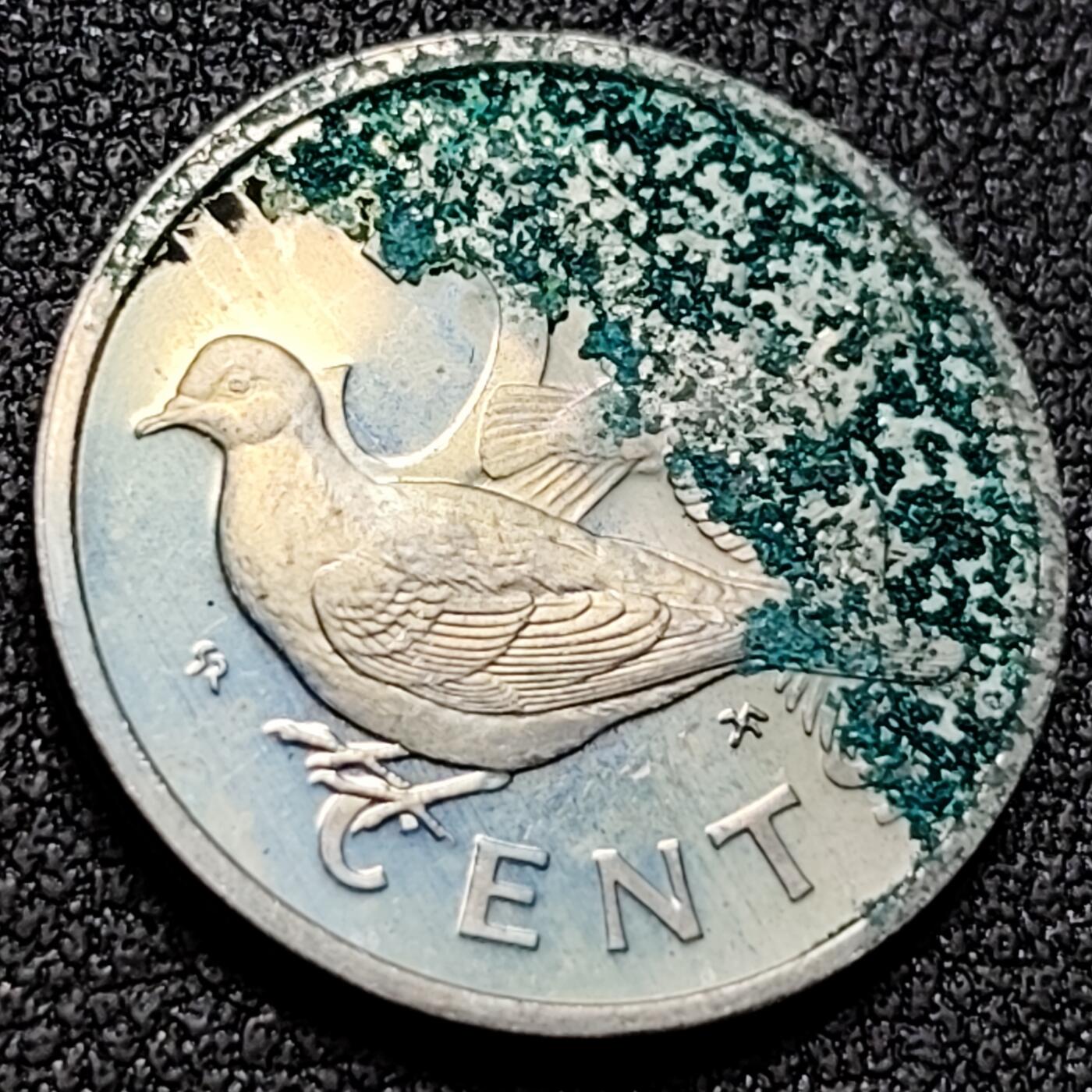 泉币菌-第154场-圣诞节专场 。