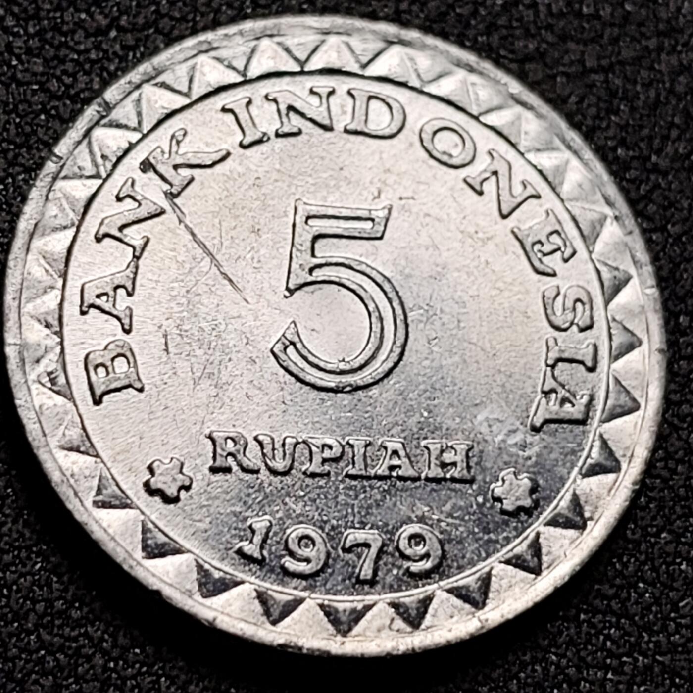 泉币菌-第153场-平安夜专场 。