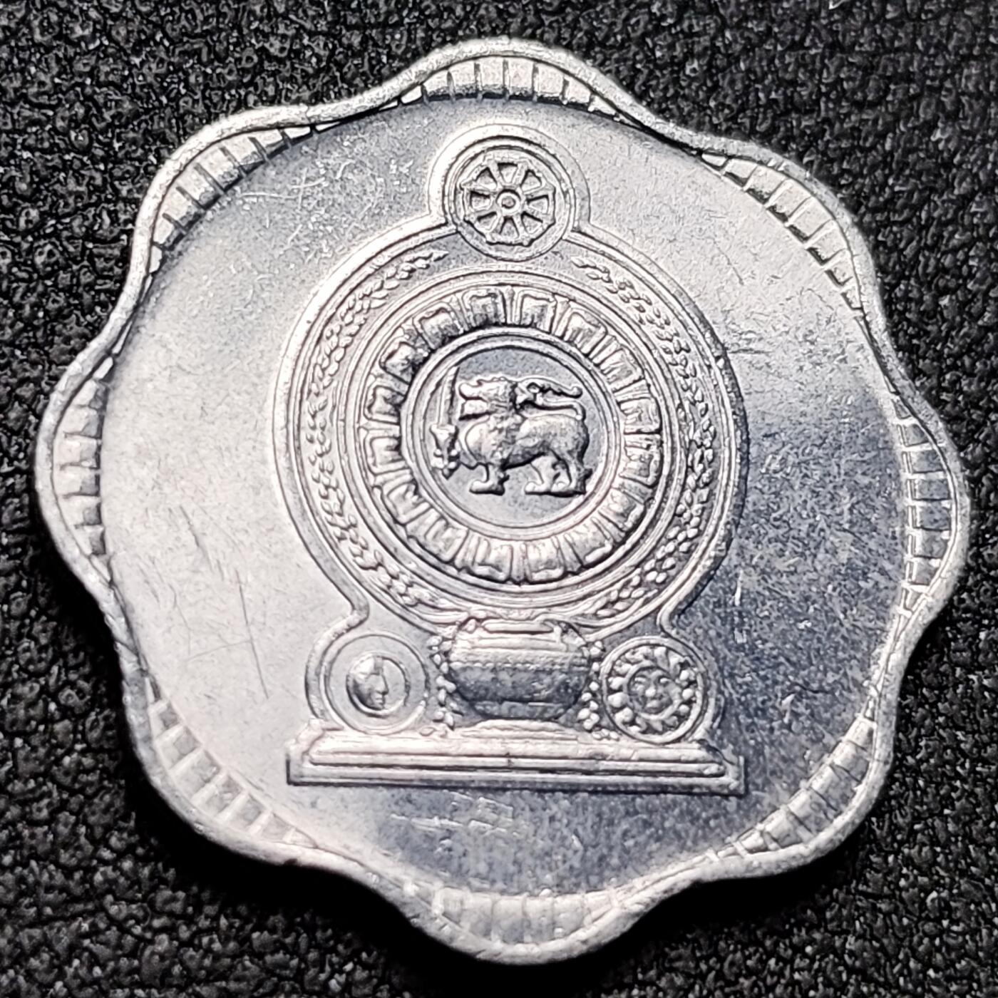 泉币菌-第154场-圣诞节专场 。