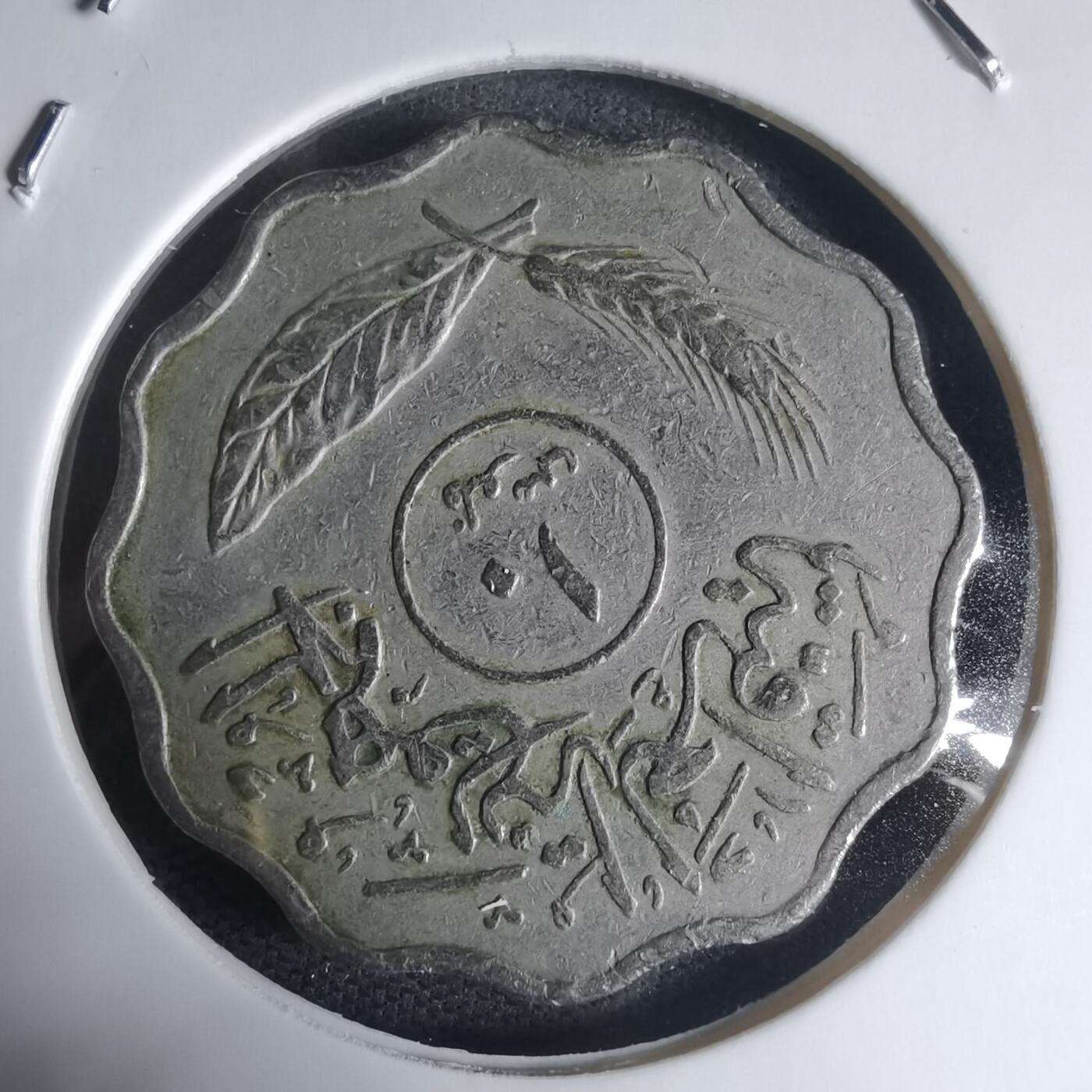 沼泽如烟--第944场