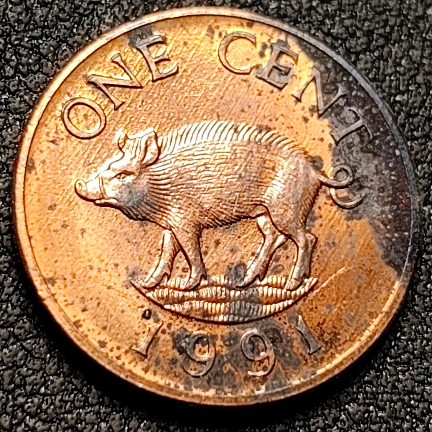 泉币菌-第153场-平安夜专场 。