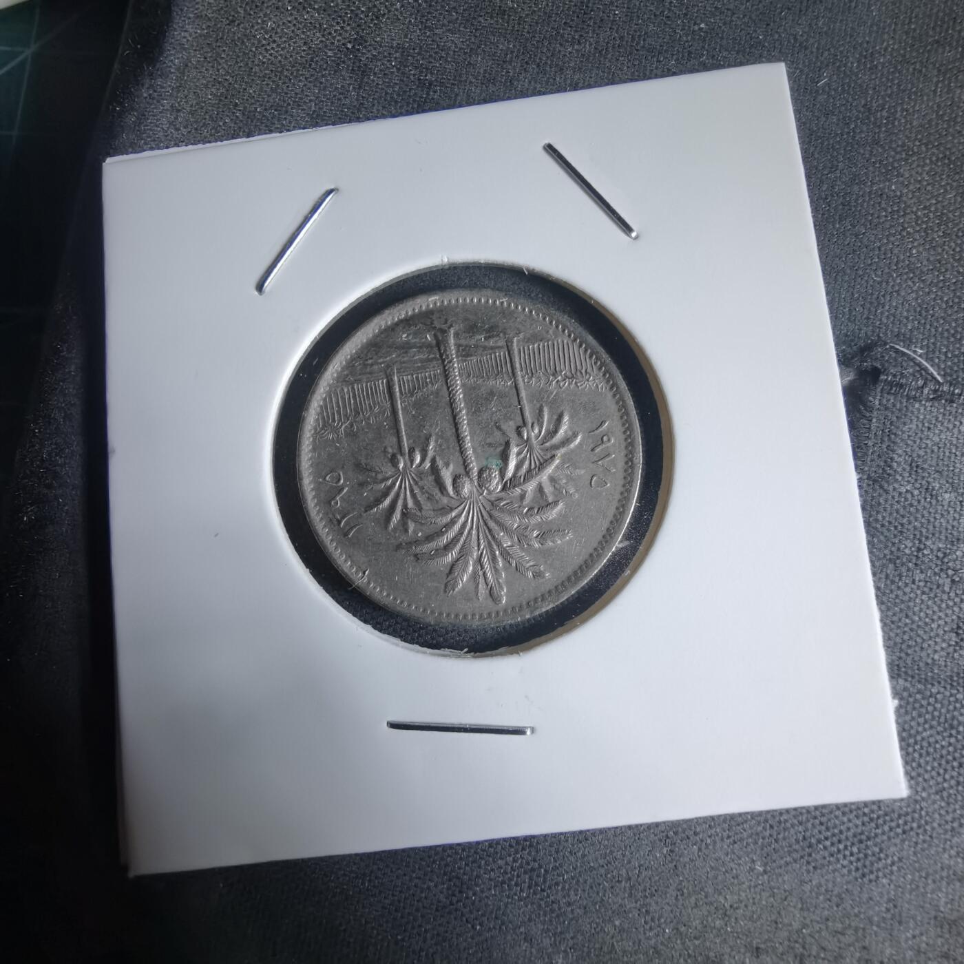 沼泽如烟--第944场